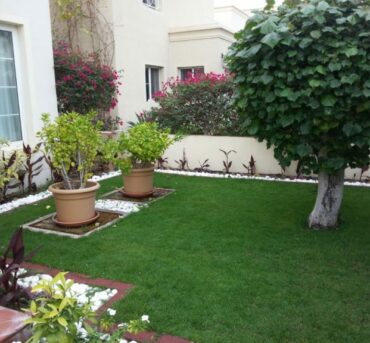 arid view landscaping soft landscaping